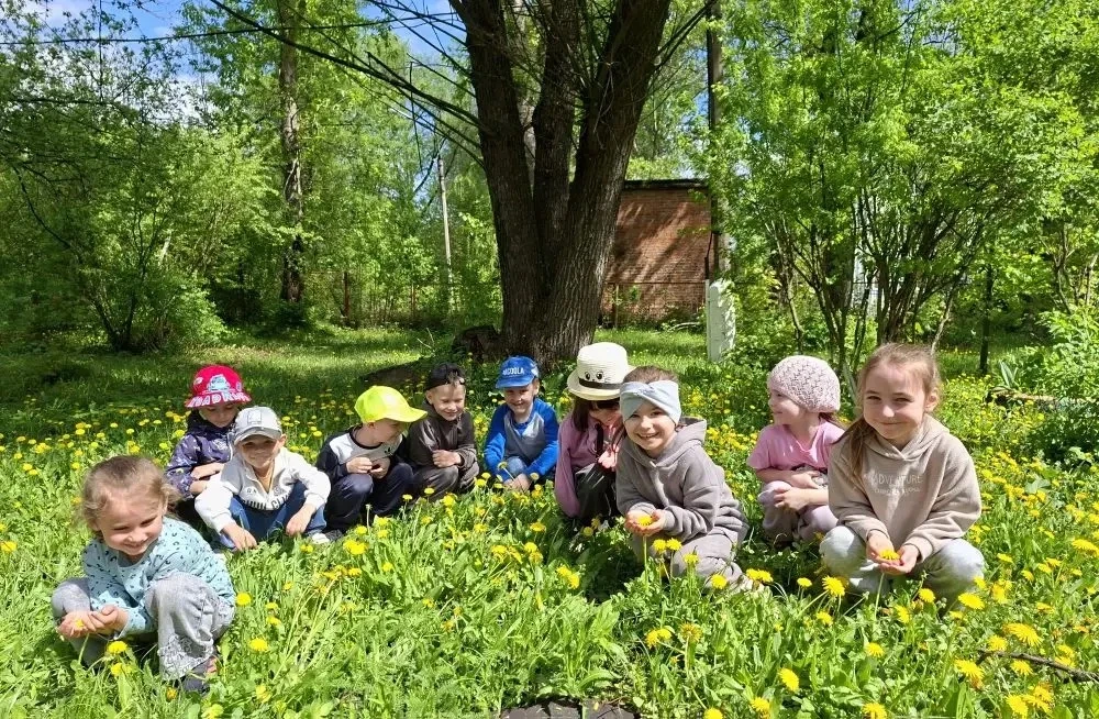13 мая - Всемирный день одуванчика.