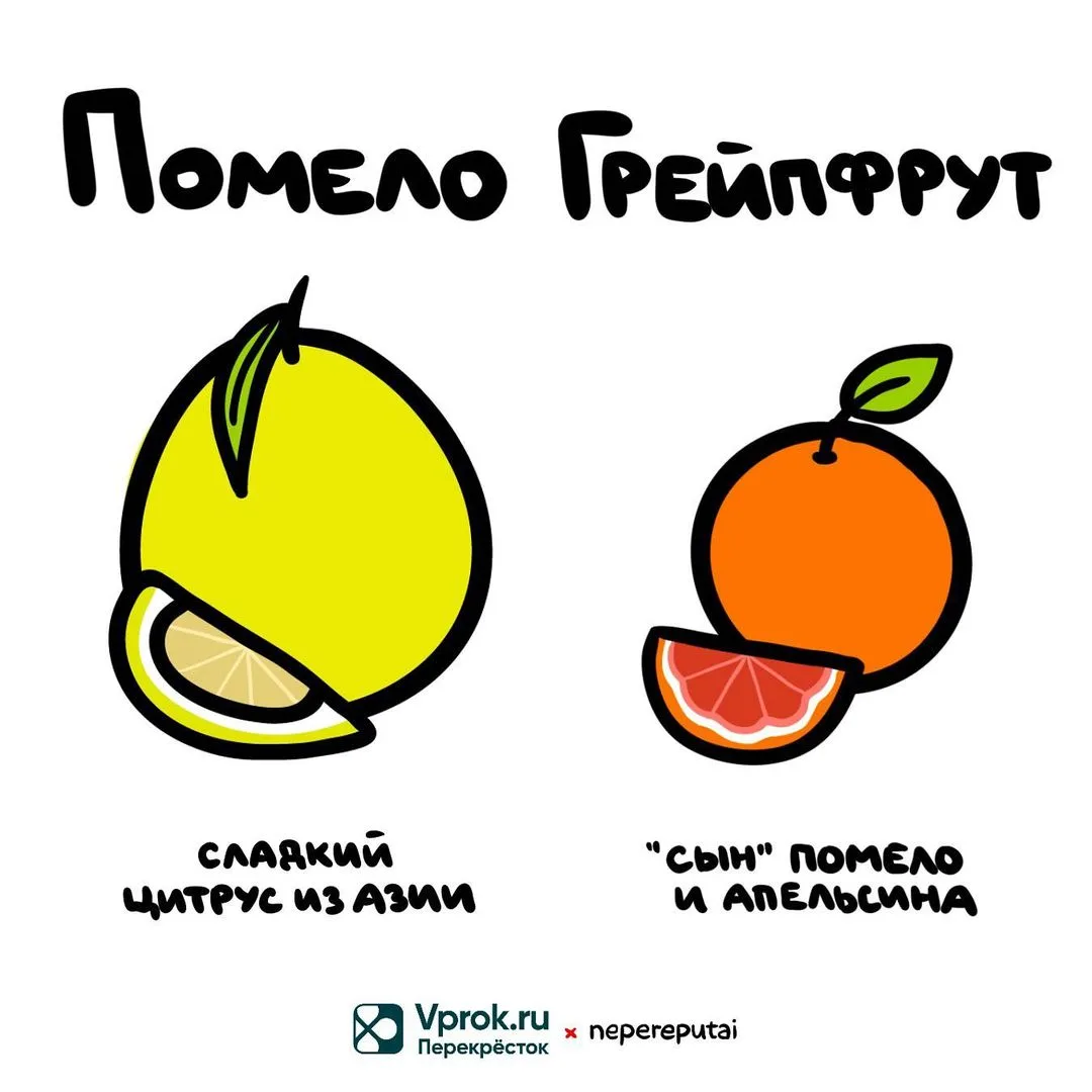 Цитрусов вам в ленту..🍋

Мы в МАХ