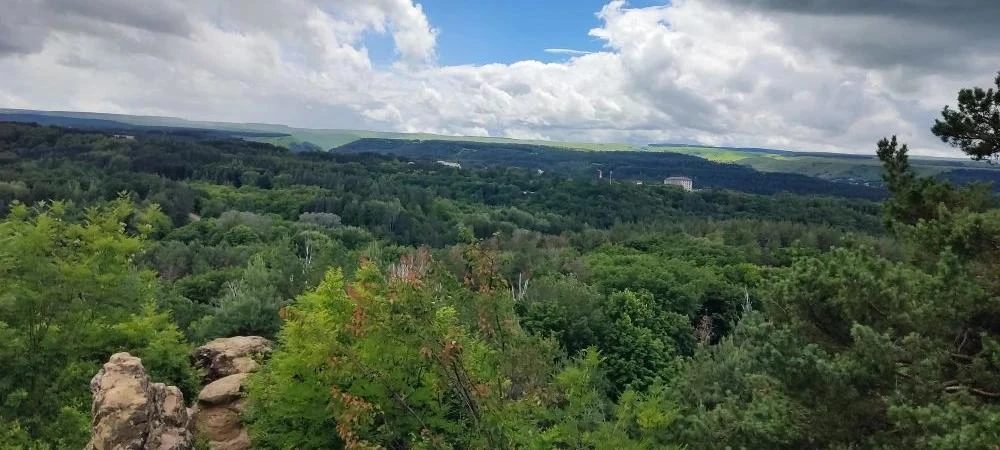 Рубрика «Учительские каникулы»: Марина Юрьевна покоряет Кавказ! 🏔️☕

Наши любимые учителя тоже умею