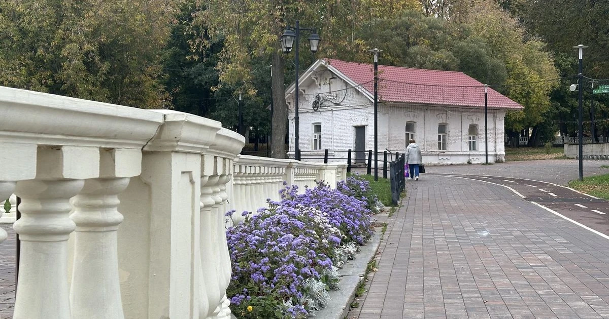 🌳 Уютный уголок на берегу Пахры