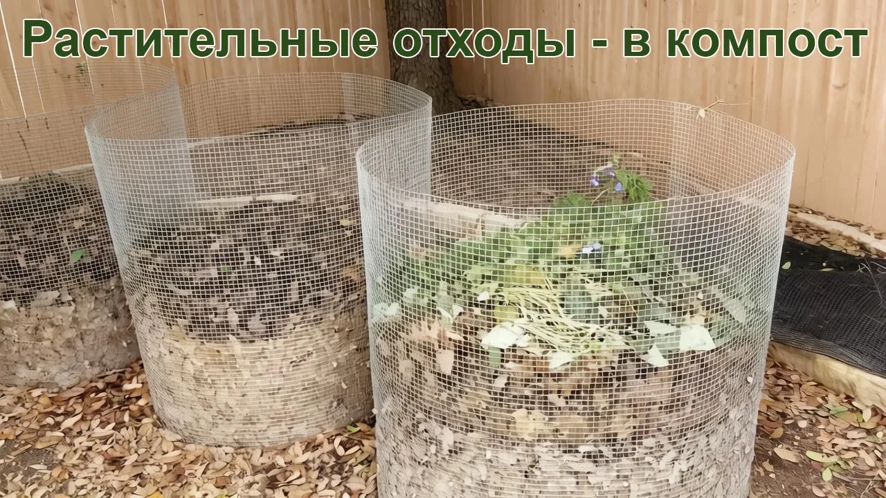 Контейнерные площадки Рузаевки часто используются не по назначению. Ветки, ботва, скошенная трава и 