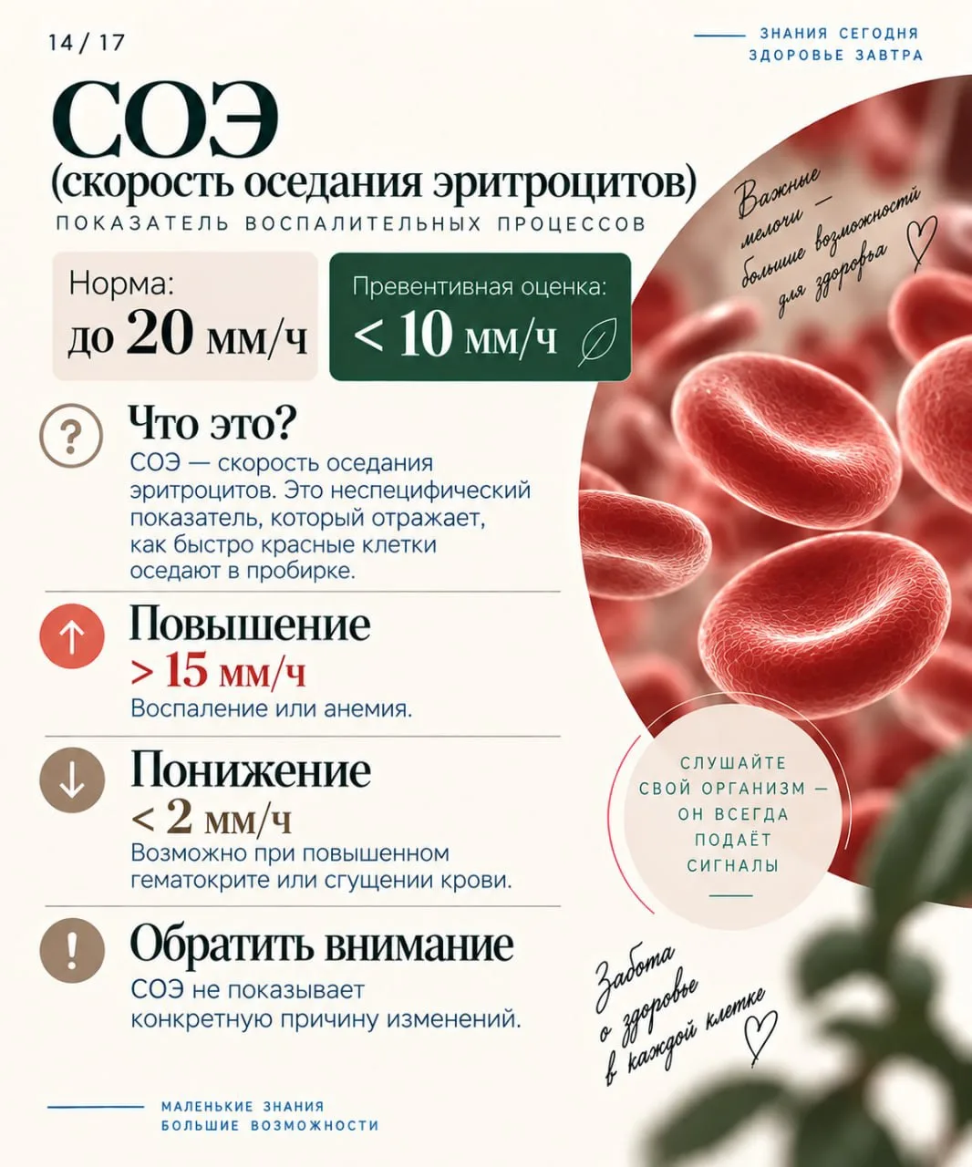 Продолжение ОАК