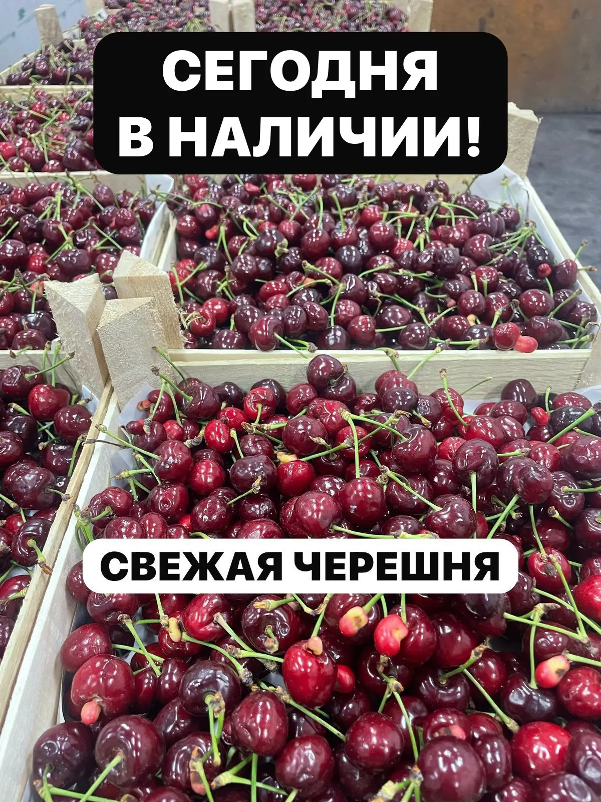 *ДОБРОЕ УТРО!*🌞
*СЕГОДНЯ В НАЛИЧИИ СВЕЖИЕ ЯГОДЫ:*
🍒 *ЧЕРЕШНЯ* 2500 руб за ящ свободных 10 ящ 
❤️* 