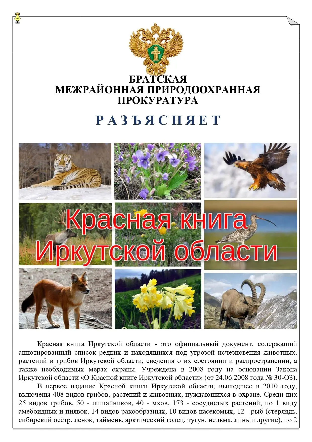 #прокуратураразъясняет