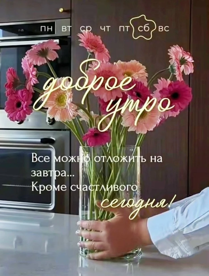 Доброе утро! Всё можно отложить на завтра, кроме счастливого сегодня! 🌞