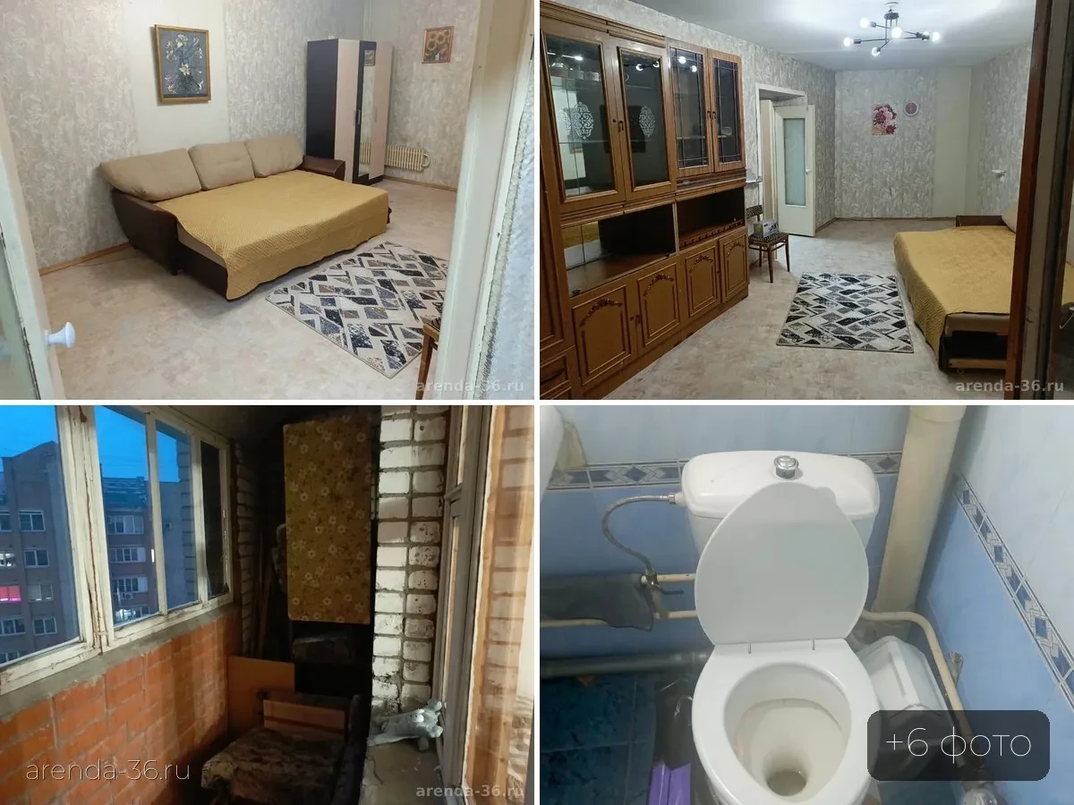 🏠 1-комн. квартира, 49 м² — 18 000 ₽