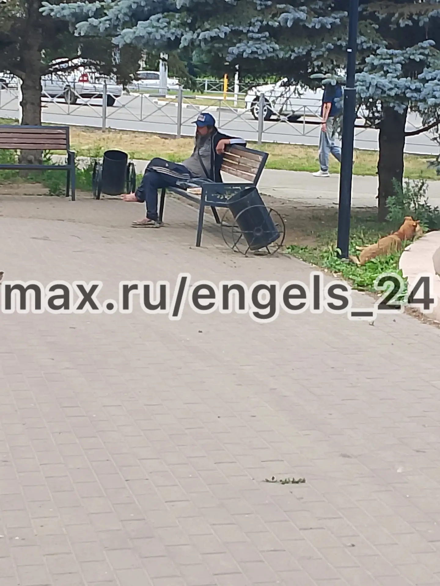 Добрый день. Обращение к администрации города! Большая просьба принять меры в отношении данного перс