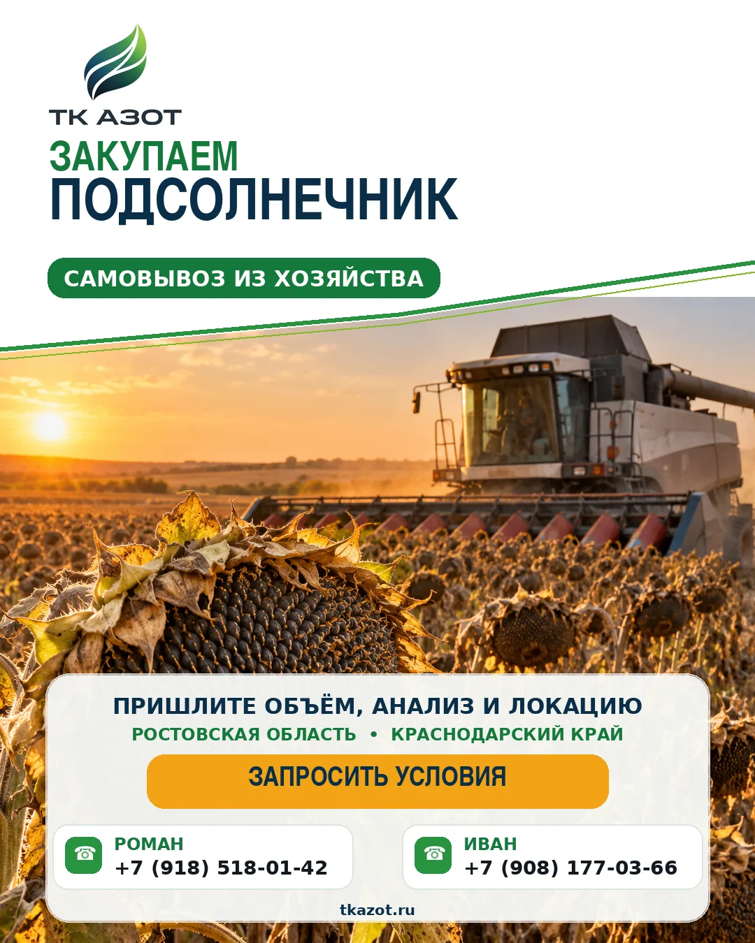 🌻 ЗАКУПАЕМ ПОДСОЛНЕЧНИК С САМОВЫВОЗОМ ИЗ ХОЗЯЙСТВА🌻