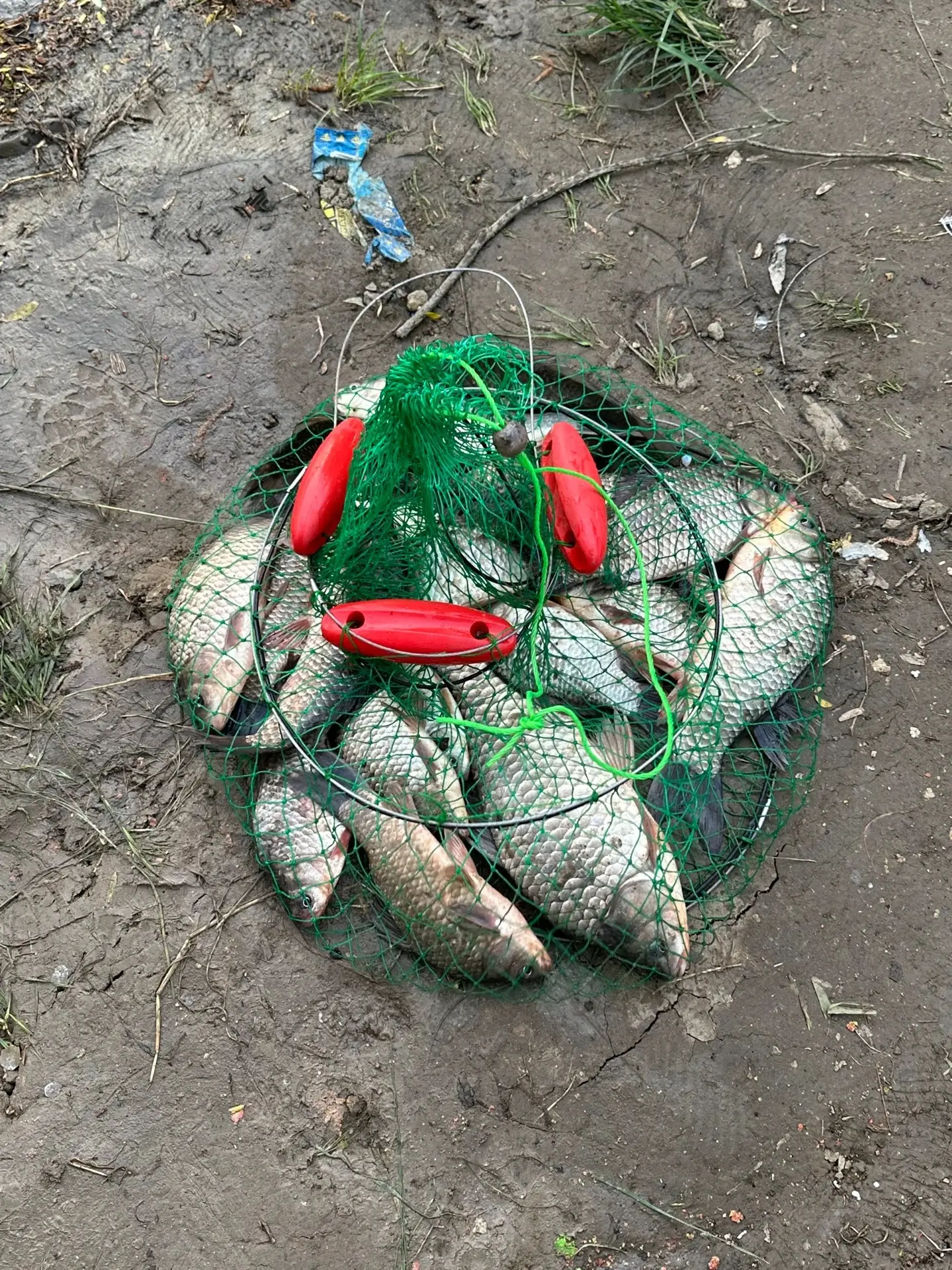 Река  Кубань 🐠