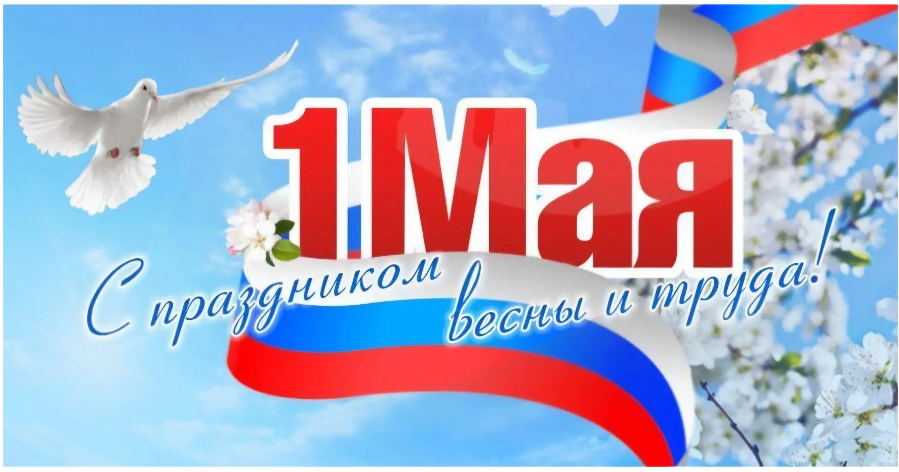 Уважаемые коллеги, партнеры, дорогие друзья! Примите искренние поздравления с праздником Весны и Тру