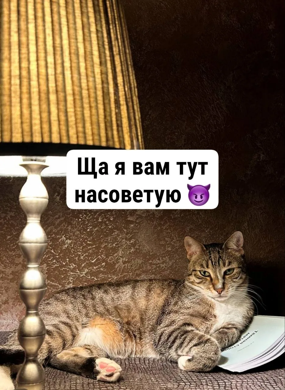6 советов из личной практики, которые сделают из вас супер-таролога 💯  Что делать, если ответ от кар