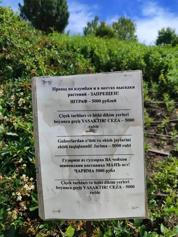 В Парке была замечена первая табличка о штрафе 😳😁