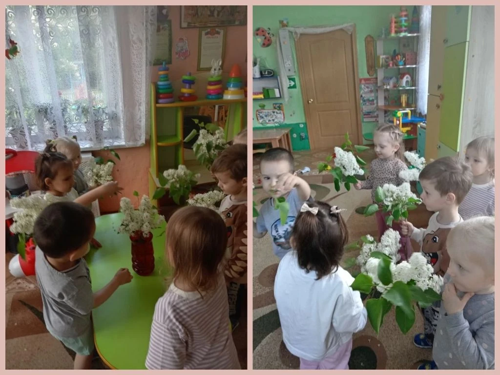🌸 Сирень — весенний символ красоты и нежности