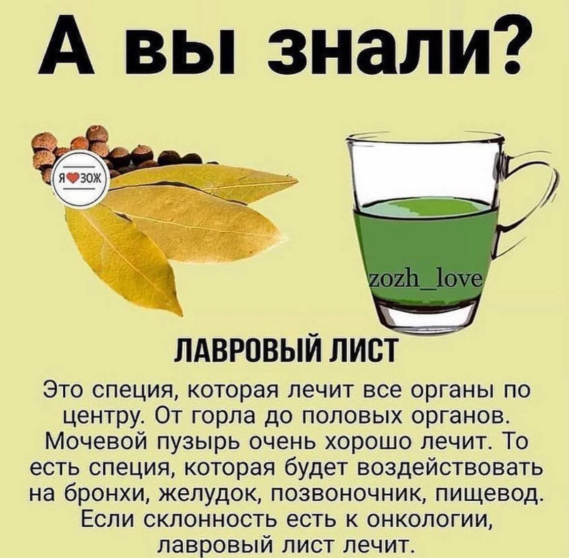 Полезно знать 🌿  ⚠️  Информация предоставлена в ознакомительных целях и не заменяет медицинскую помо