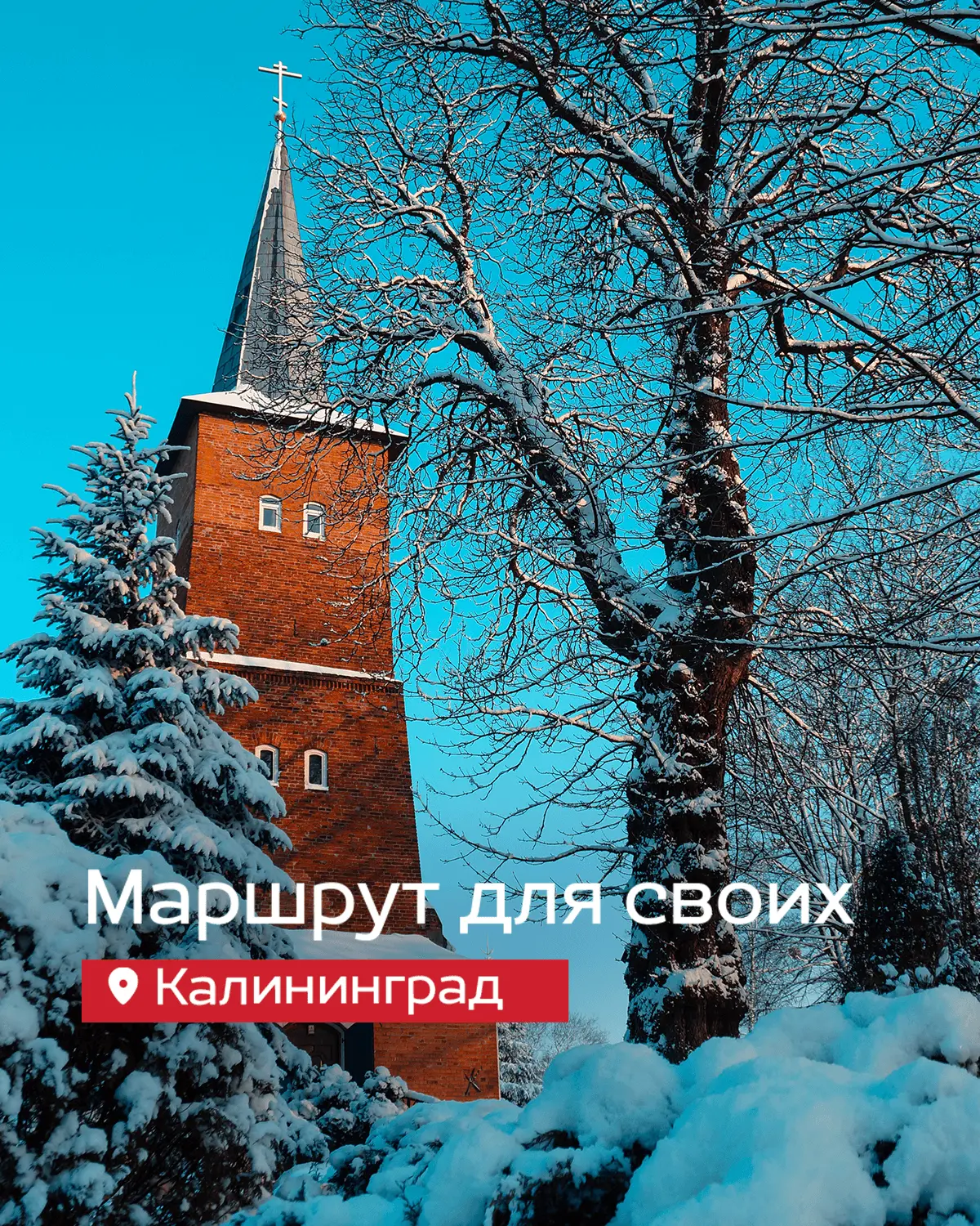 Если твои отношения с Калининградом ограничились фото у Кафедрального собора и покупкой марципана, с