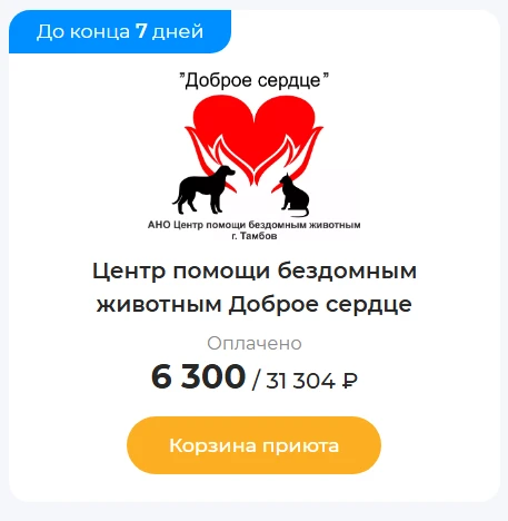 Дорогие друзья!