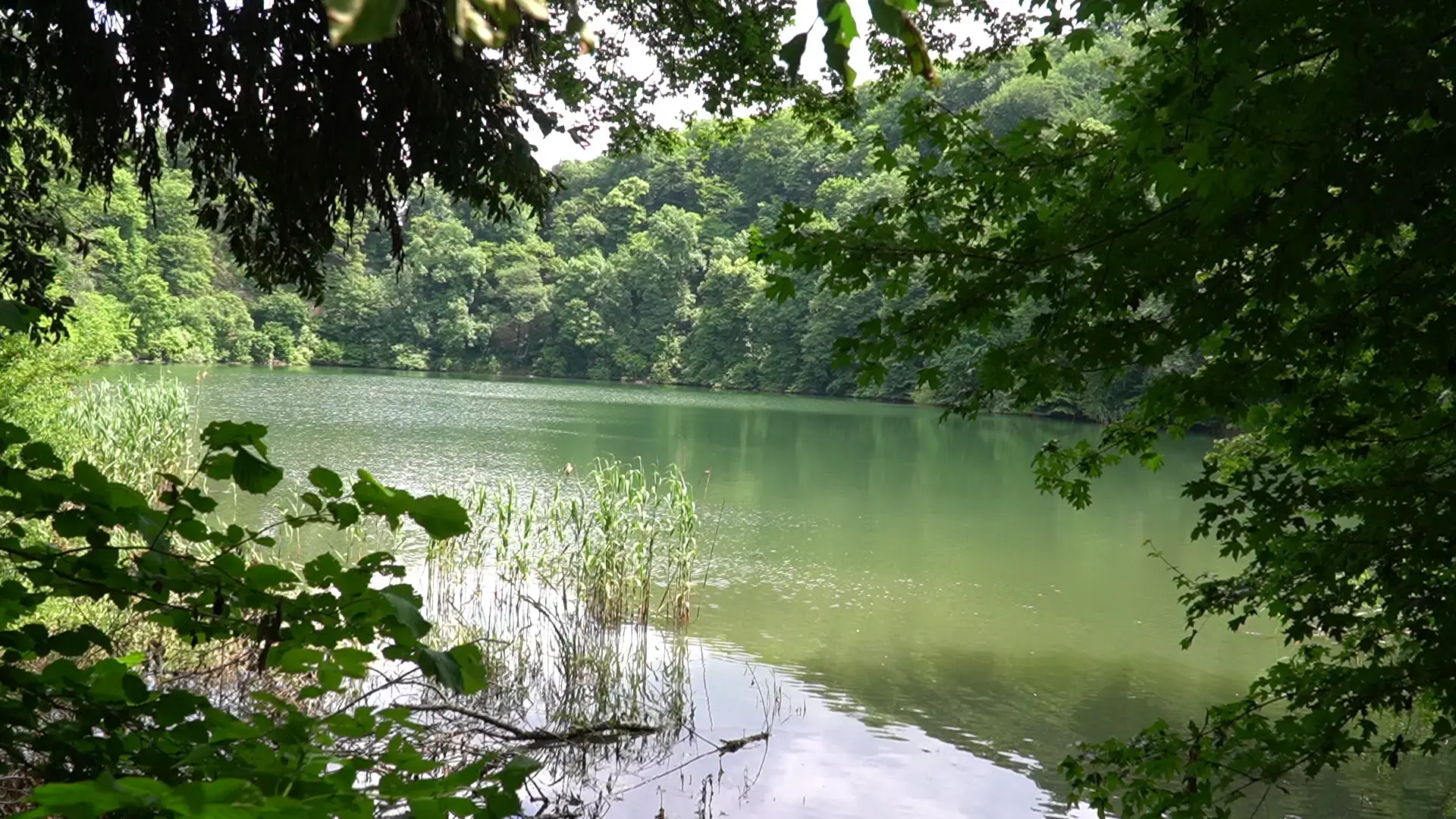 💧 Круглое озеро, природная жемчужина Кубани, стало центром внимания для тех, кто заботится о природ