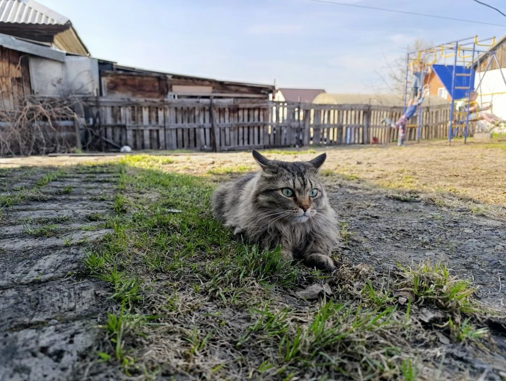 Вот ещё фото  Как ощущается свобода😅