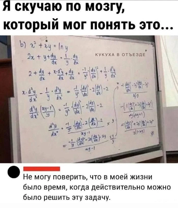 Кукуха в отъезде 🐦