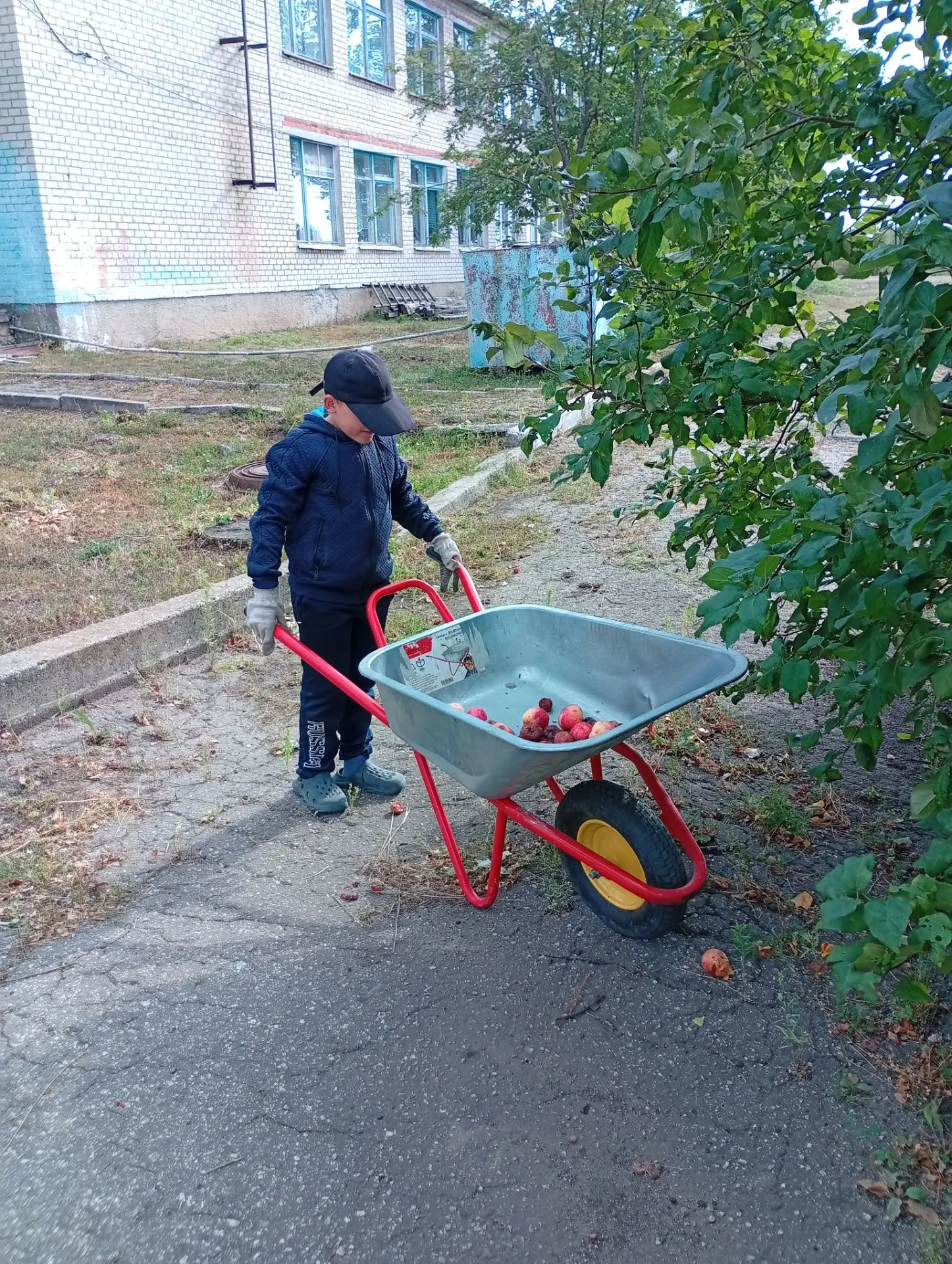 В школе продолжается летняя трудовая практика.Ребята под руководством учителей наводят ...
