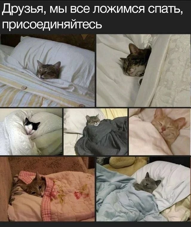Telegram / Записки зубного детектива: