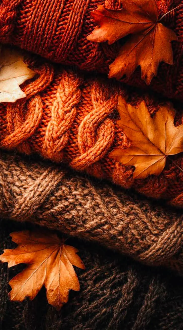 ______ 🧡🍁🧡🍂