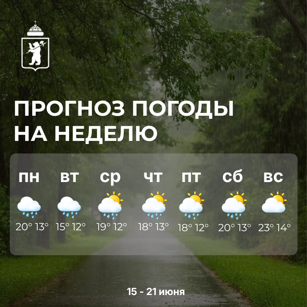 🌦 Дожди возвращаются

Доброе утро, жители района!
Половина июня уже позади. Будущая неделя будет тё