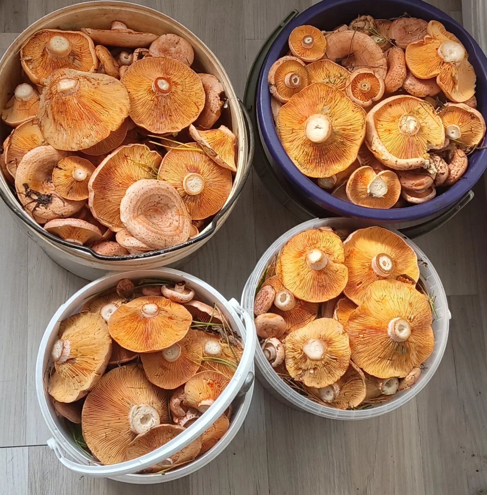 Пока я болею, Владимир Геннадьевич работает😍