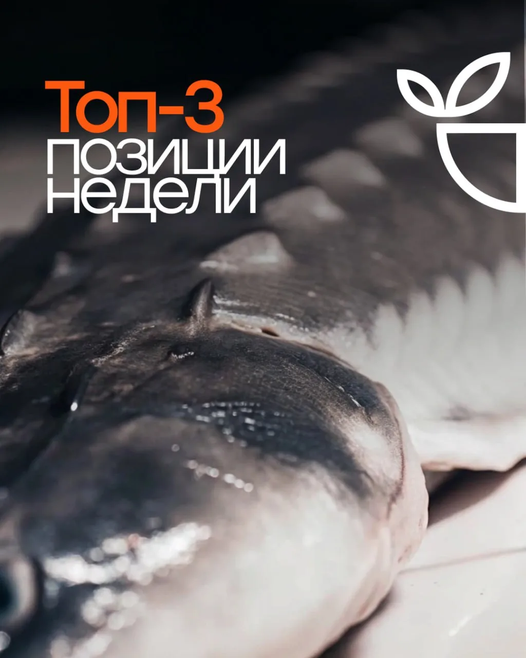 Эти позиции не задерживаются надолго ✨
Показываем, что сейчас в фаворитах.

Номер для заказа продукц