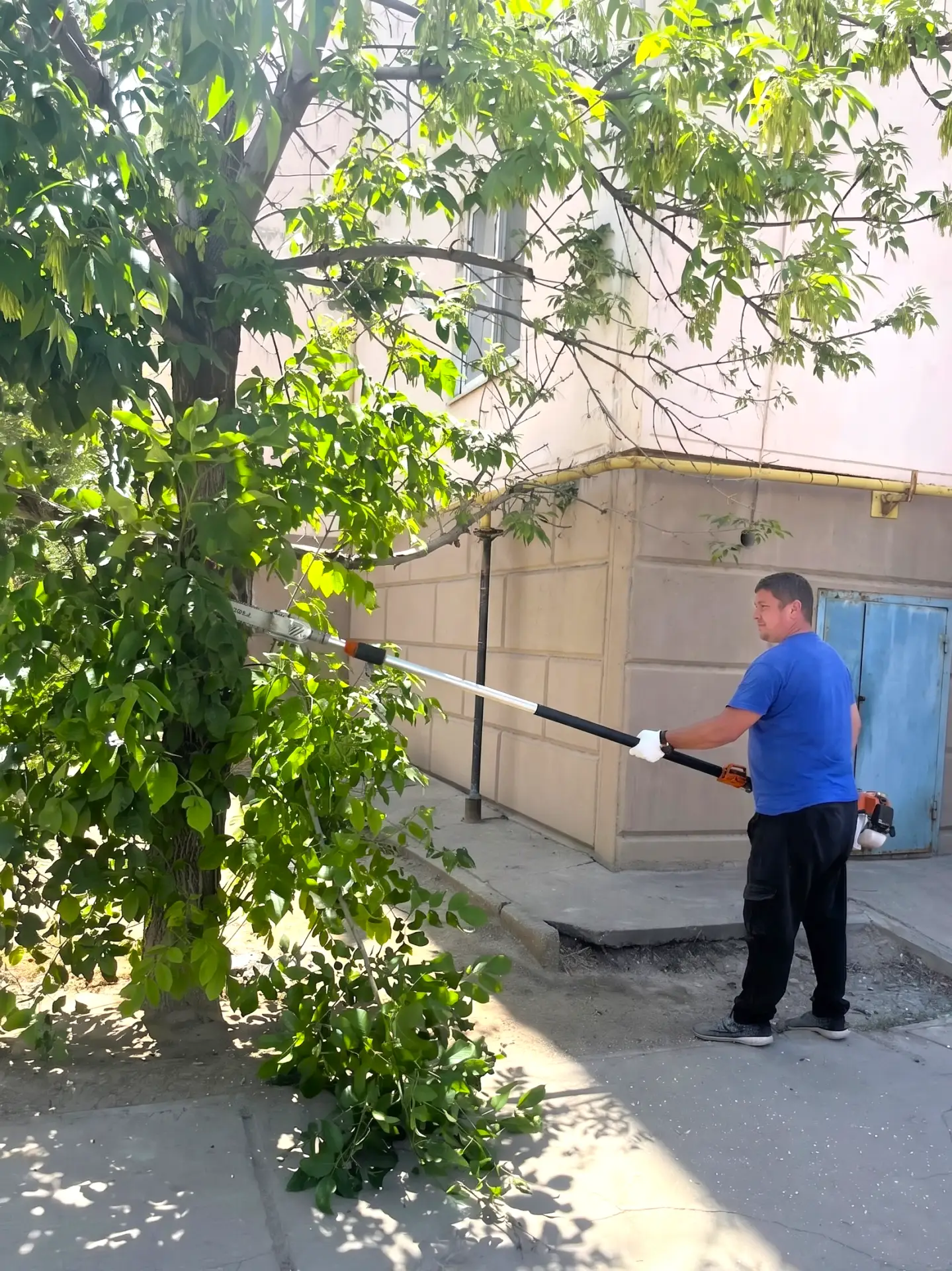 К новости «🚶‍♀️ Свободный проход и ухоженная территория!»