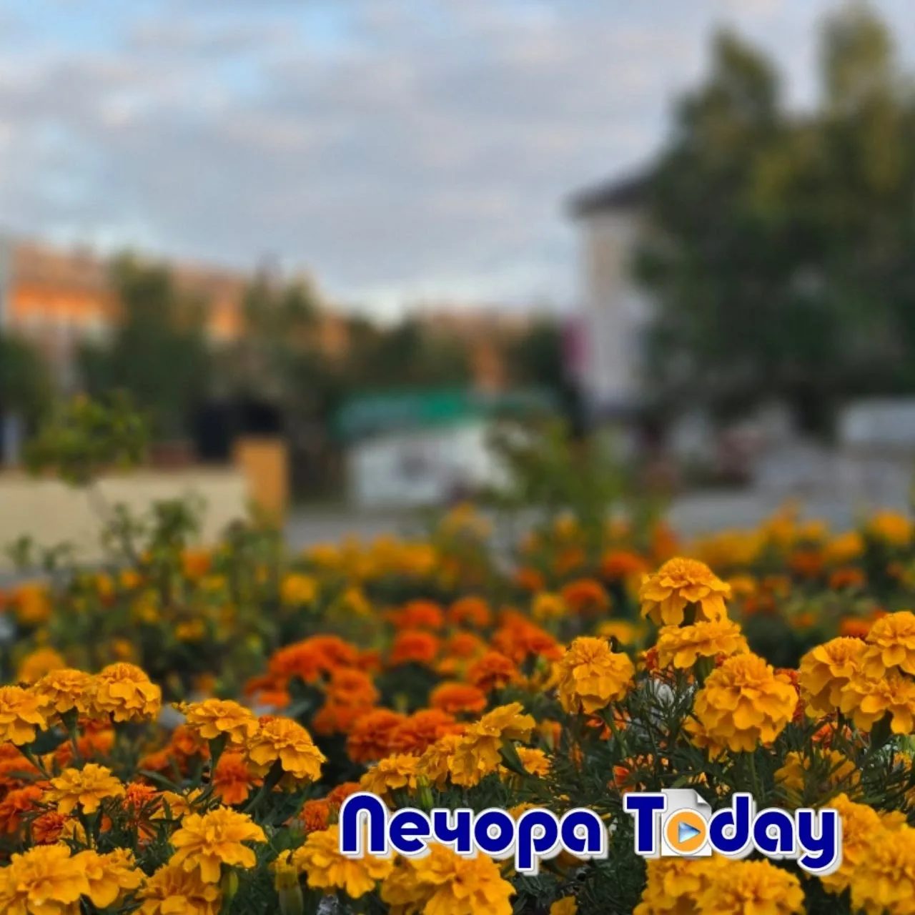 С добрым утром, Печора!