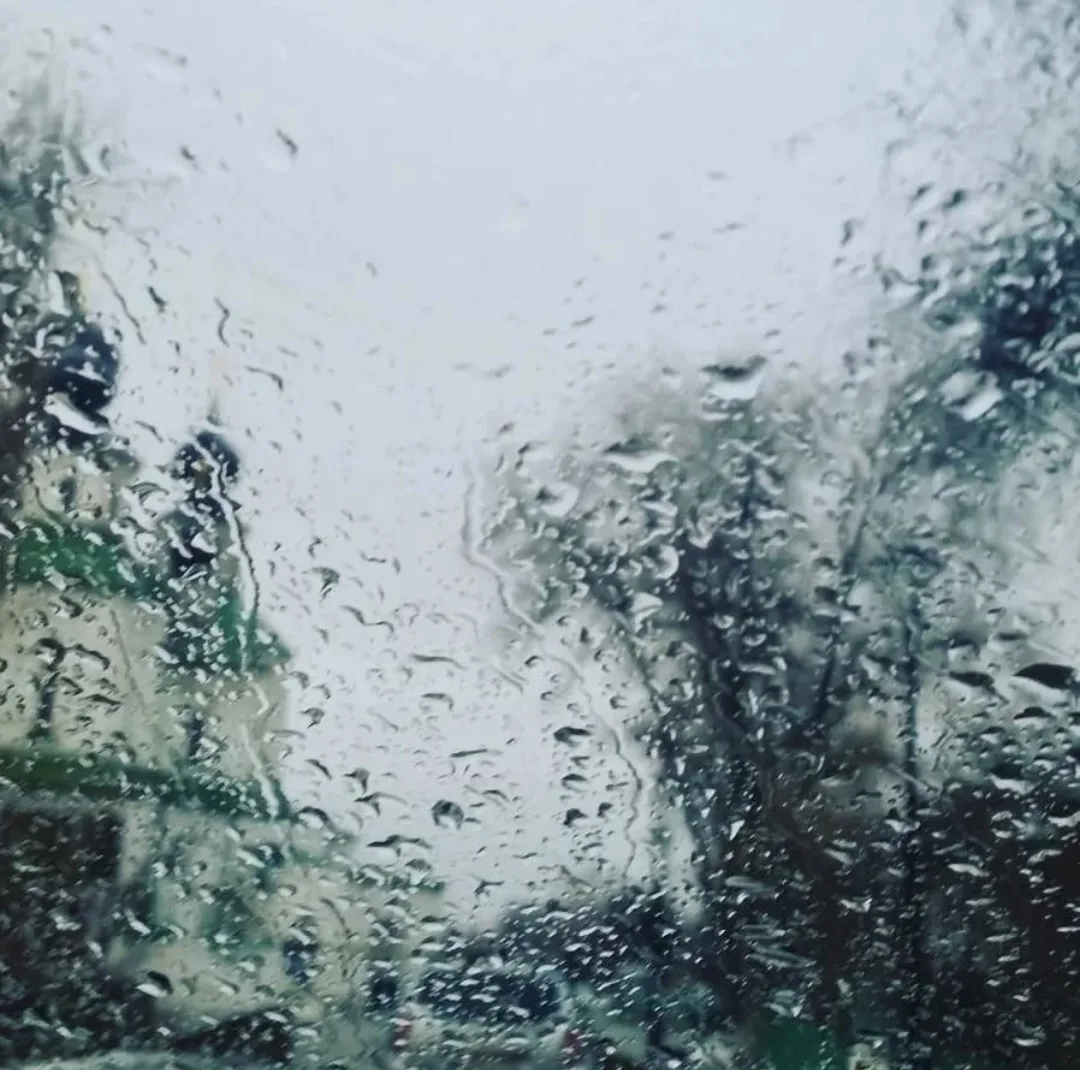 Весенняя погода ☂️💦🌿