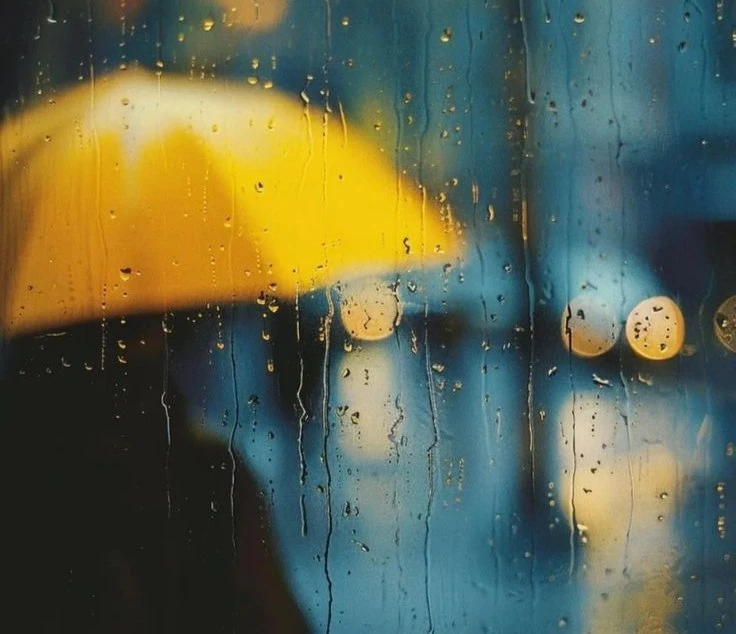 🌧 Дождливая погода — повод быть немного внимательнее.