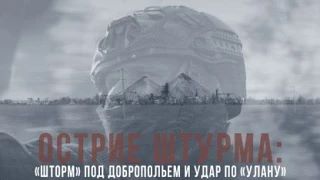 Спецрепортаж WG. Острие штурма: «Шторм» под Добропольем и удар по «Улану»