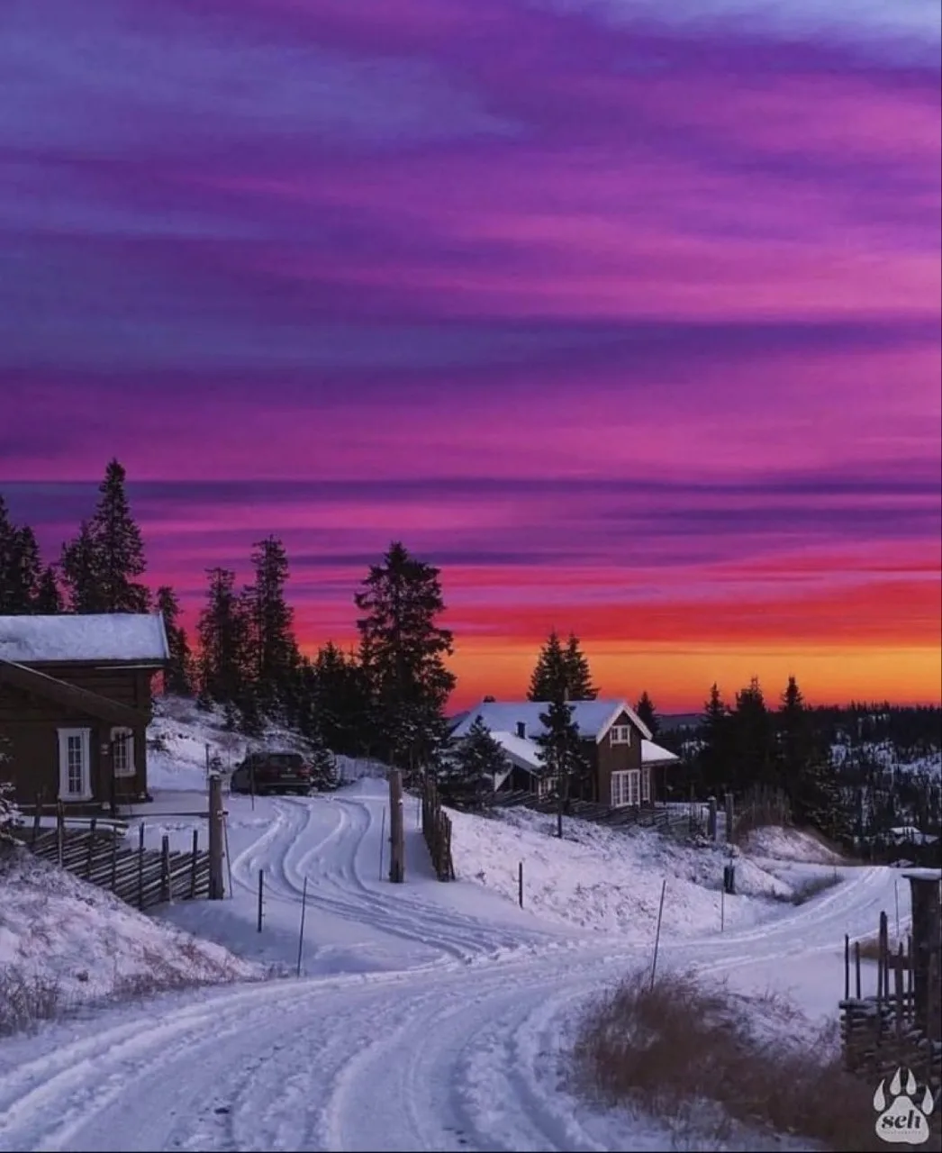 Норвегия 🇳🇴
