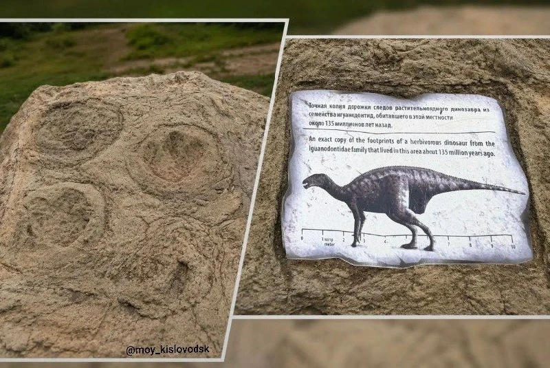 🦖 В Кисловодске показали «автограф» динозавра