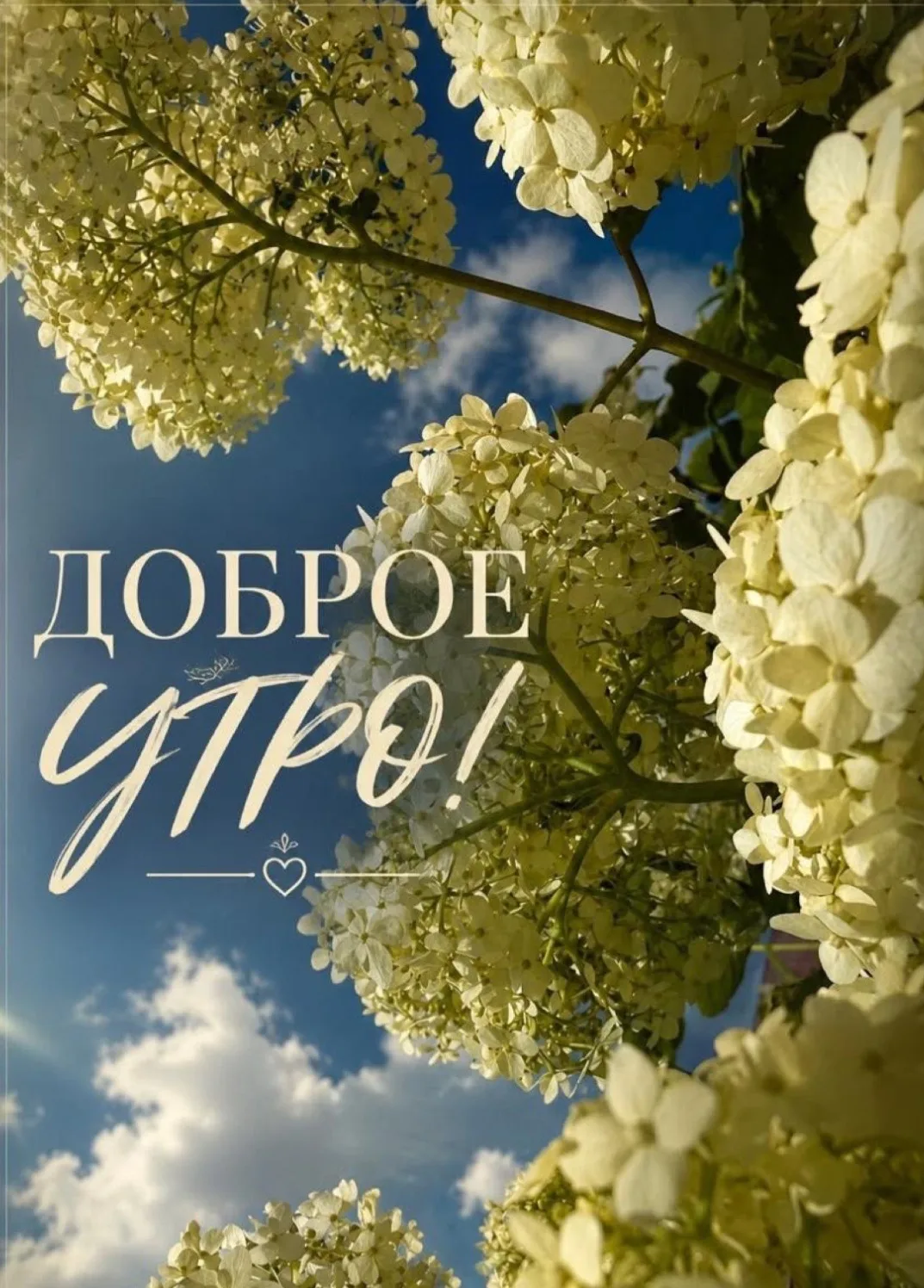 📍Рубрика: День с НГПУ