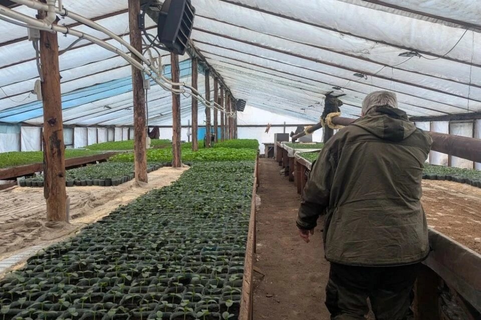 🌱«Газ работает как часы»: якутский фермер — о переходе на автономное газовое отопление теплиц  Для к
