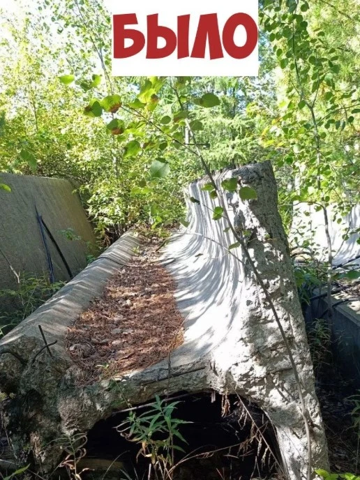 🌳 Территория в районе станции Андриановская приведена в порядок!
