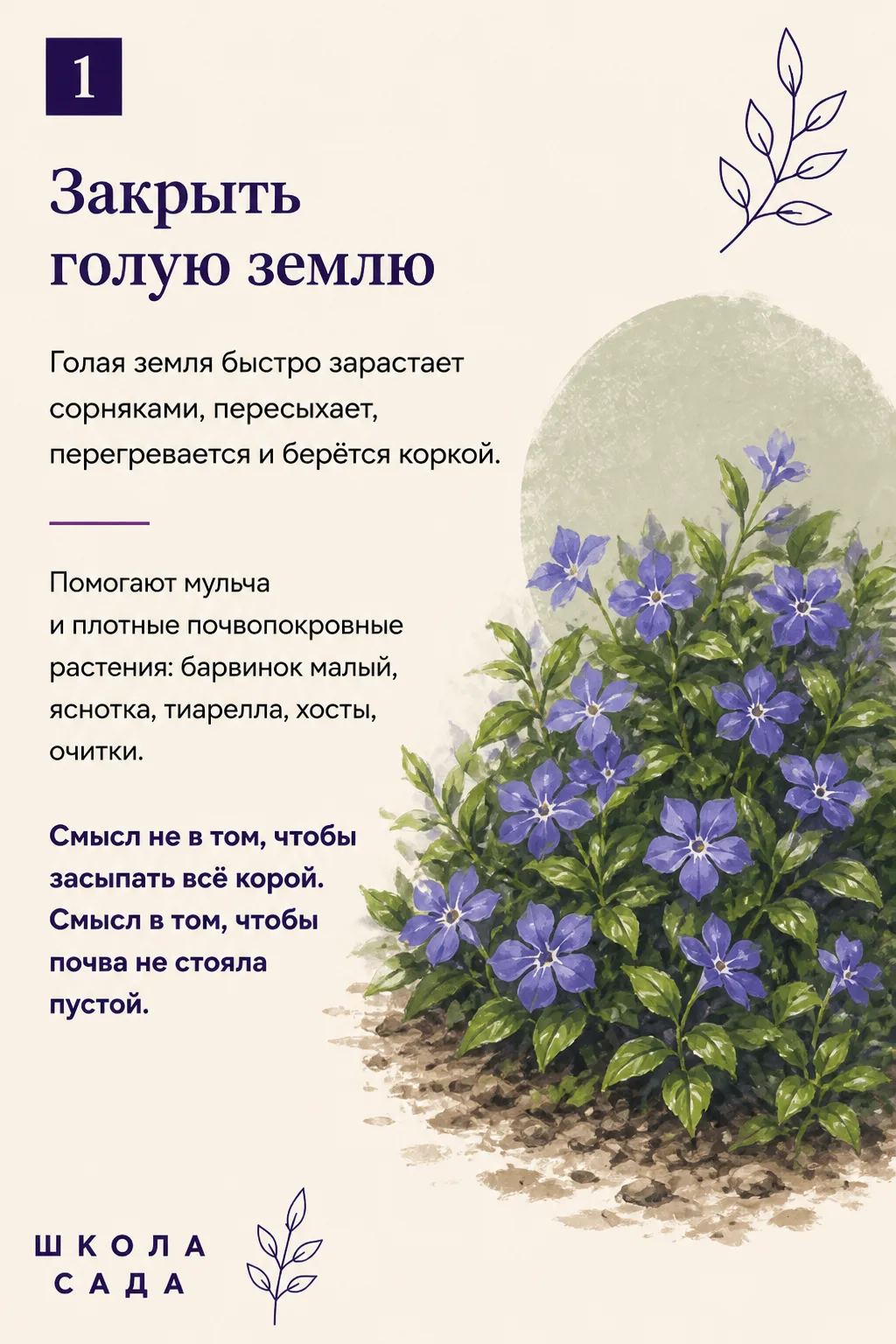 6 простых и проверенных способов сократить уход за садом