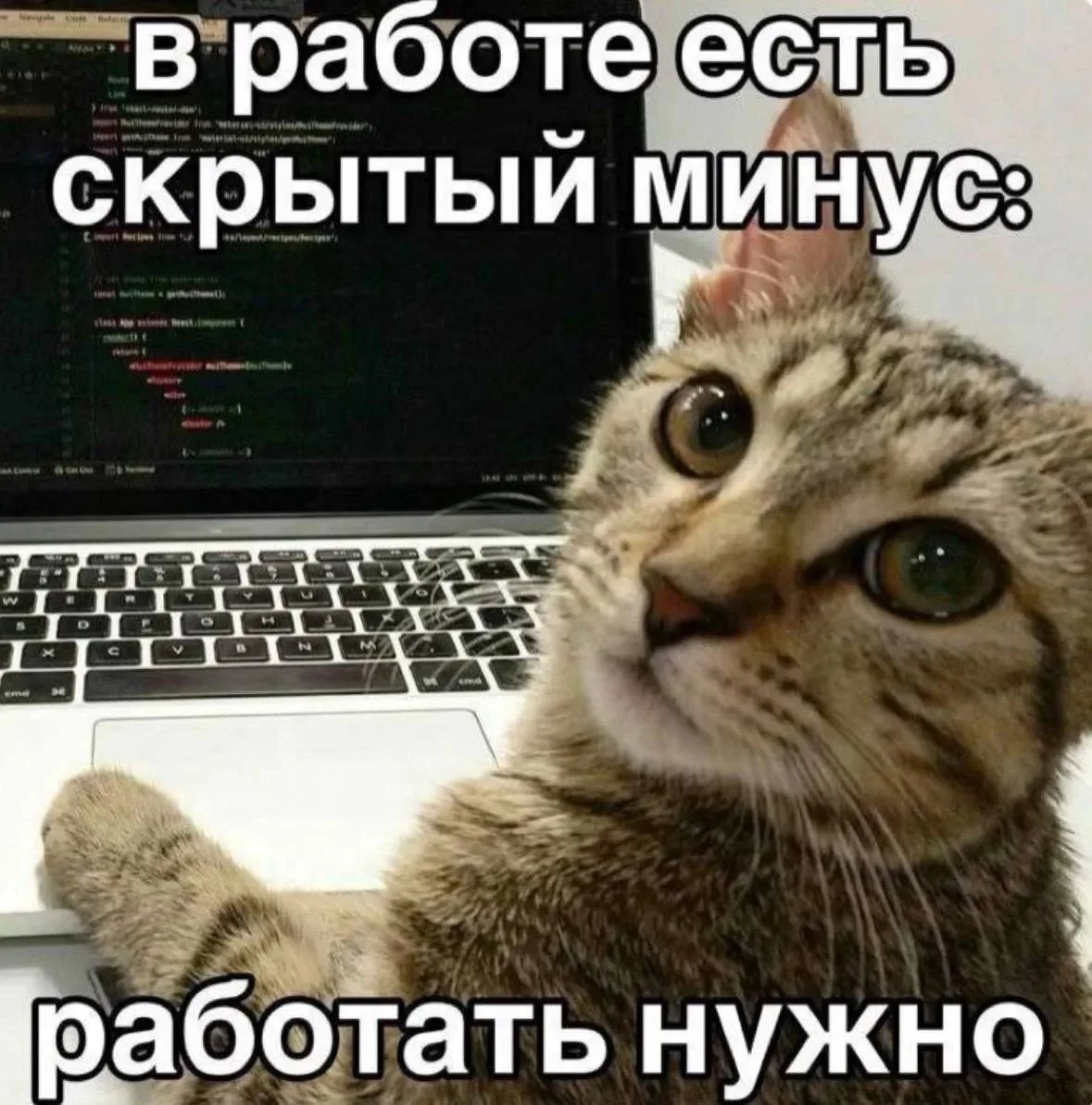 💼 Психологи отмечают, что работа по пятницам особенно тяжело отражается на психике и у...