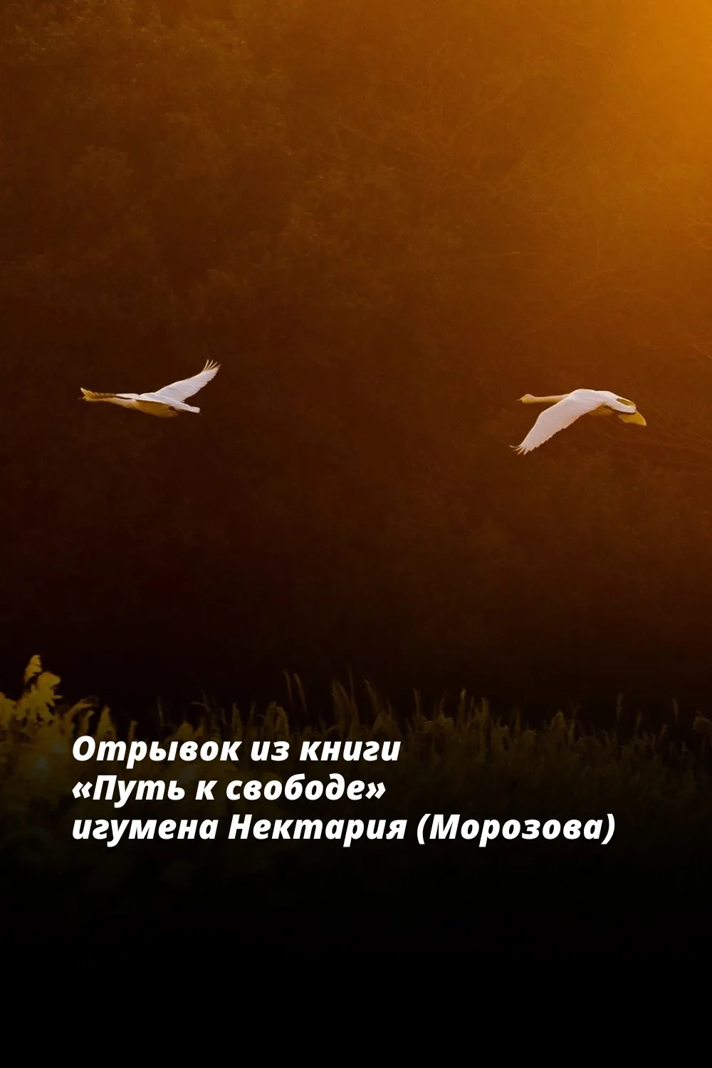 Неизбежно вновь и вновь возникает вопрос: как все-таки разделить, различить подлинные любовь и самоп