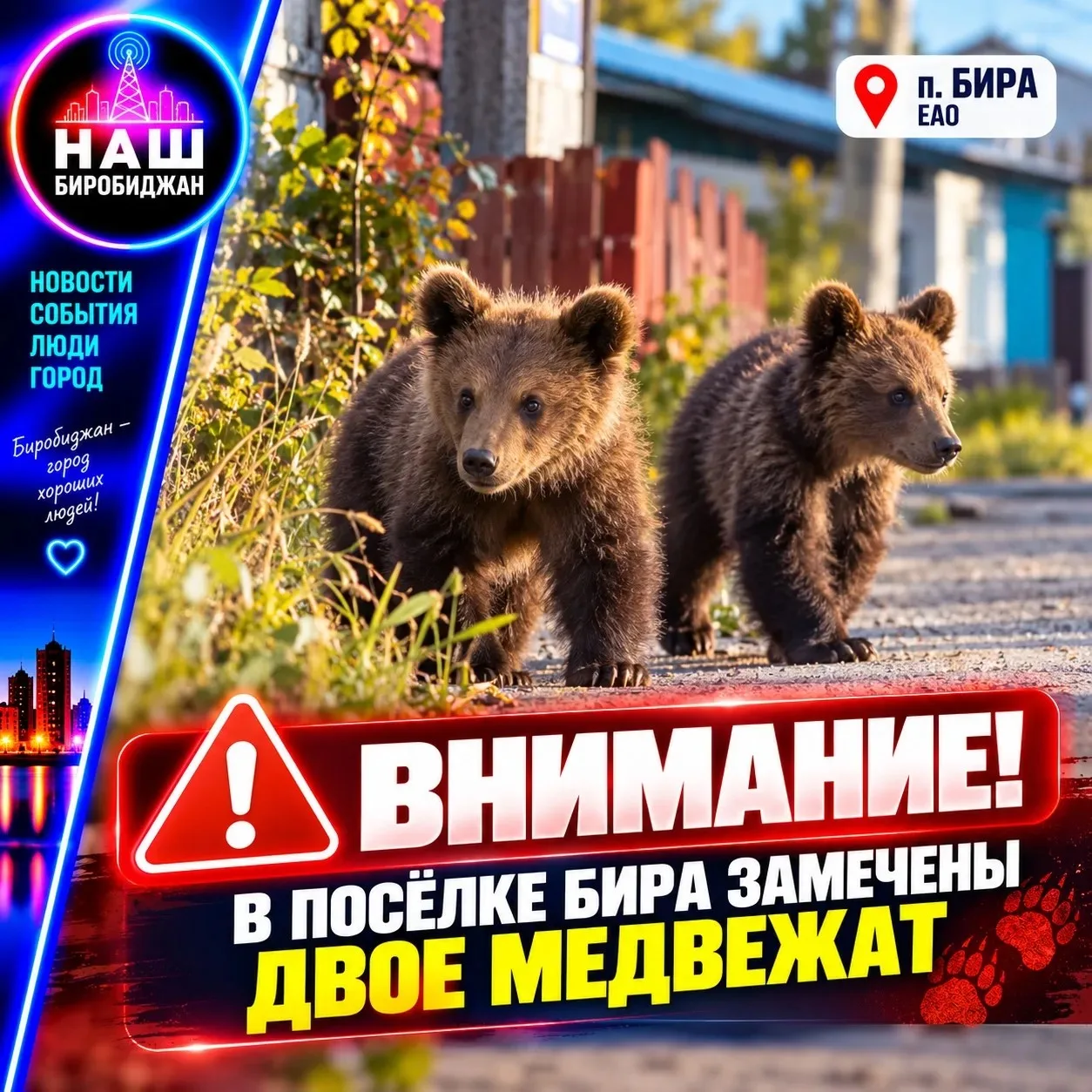 🐻 Внимание! Маленькие, но очень серьёзные гости в посёлке