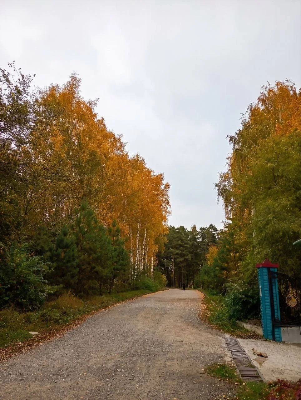 Золотая осень в Новосибирске.