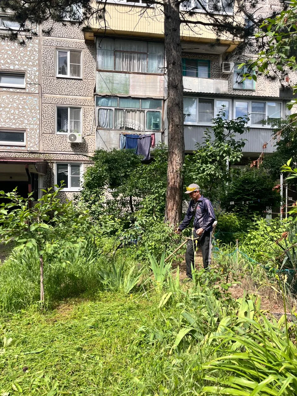 Покос сезонной растительности также проведён во дворах многоквартирных домов №14 и 14а ...