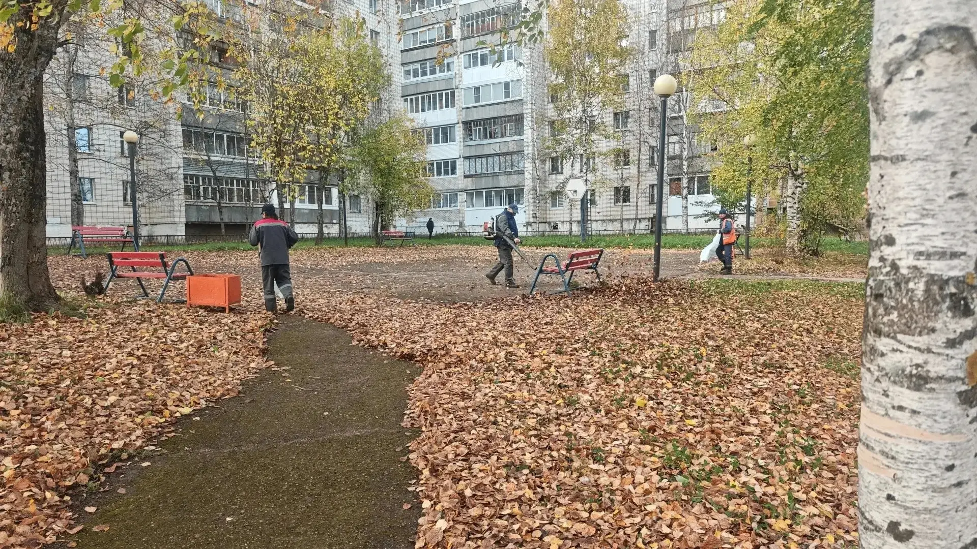 📌Чем была богата прошлая неделя