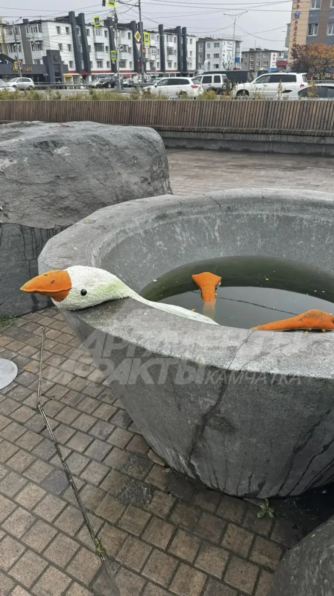 Состояние - пятница 🪿