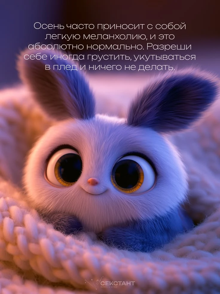 https://max.ru/invista123456
