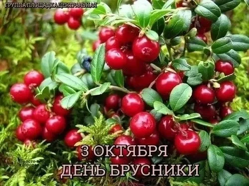 📆 День в истории