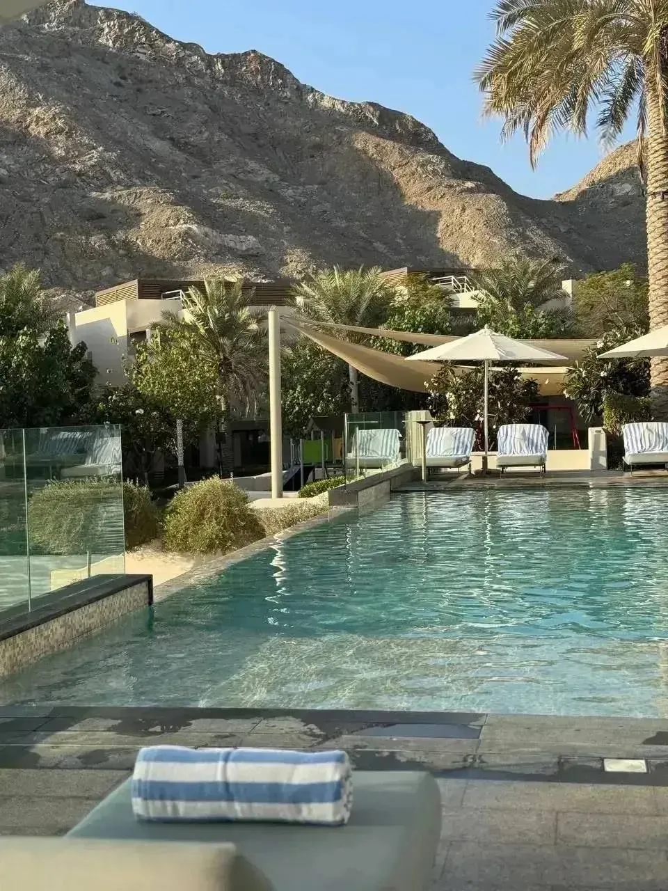 🌴 Стильный премиальный отель известной сети Address Hotels + Resorts, расположенный в ...